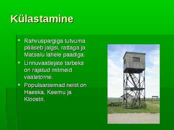 Matsalu rahvuspark #8