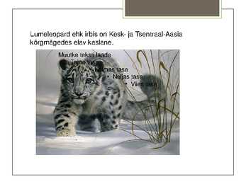 Lumeleopard #2