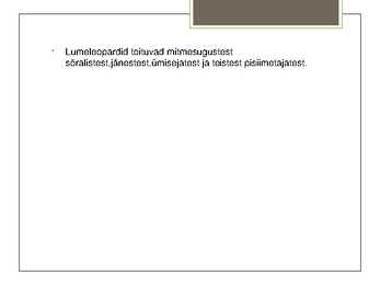 Lumeleopard #5
