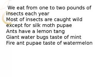 Eating bugs #8