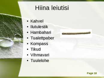 Hiina #18
