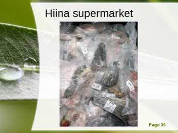 Hiina #35