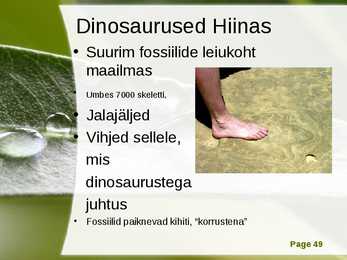 Hiina #49