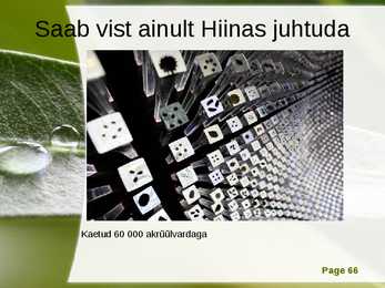 Hiina #66