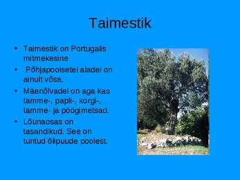 Slaidiesitus-Portugal #14