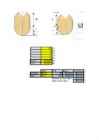 Exel Valemid #8