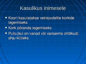 Korgitamm #7