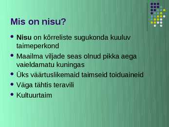 Nisu #2