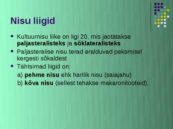Nisu #7
