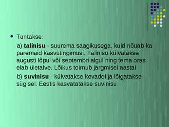Nisu #8