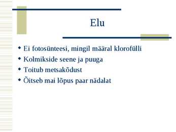 Kõdu-koralljuur #5