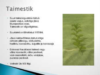 Peipsi järve ökosüsteem #6