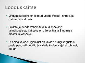 Peipsi järve ökosüsteem #9