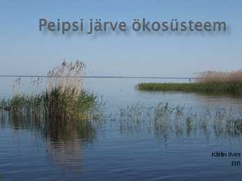 Peipsi järve ökosüsteem