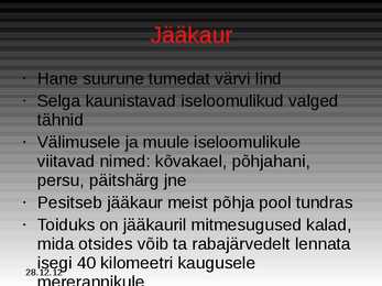 Tundra Taimed Ja Loomad #10