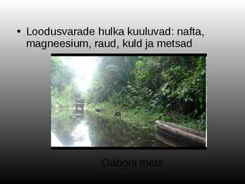 Gabon #8