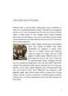 Tiigrid #7