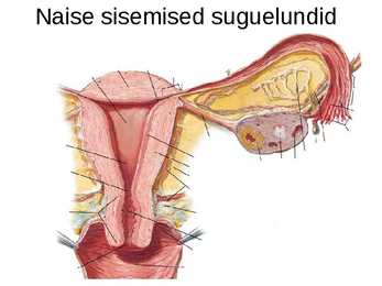 Sinu seksuaalsus #6