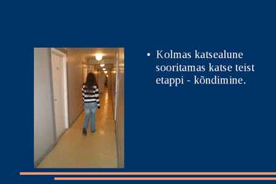Nimetu #13