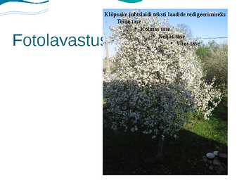 Nimetu #11