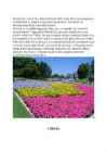 Suvelilled floristikas #2