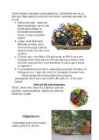 Suvelilled floristikas #4