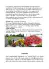 Suvelilled floristikas #5