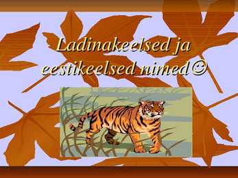 Ladinakeesete umbrohtude õppimiseks #2