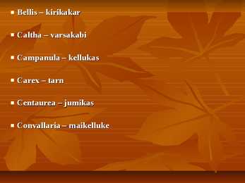 Ladinakeesete umbrohtude õppimiseks #4