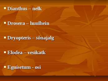 Ladinakeesete umbrohtude õppimiseks #5