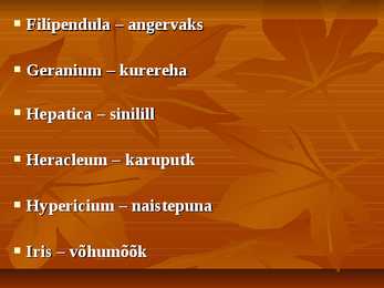 Ladinakeesete umbrohtude õppimiseks #6