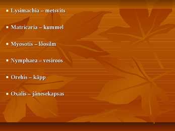 Ladinakeesete umbrohtude õppimiseks #8