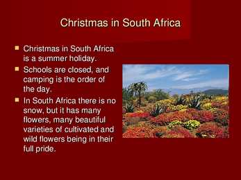 South Africa #14