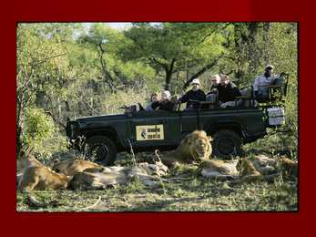 South Africa #29