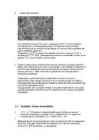 Fe-Fe3C faasidiagramm-Terase termotöötlus #3