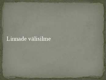 Keskaegne linn #23
