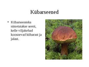Seened #6
