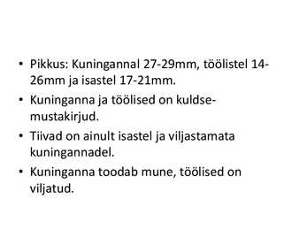 Sipelgad #3