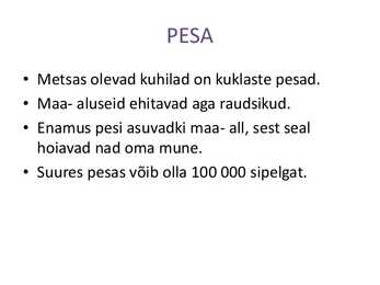 Sipelgad #5