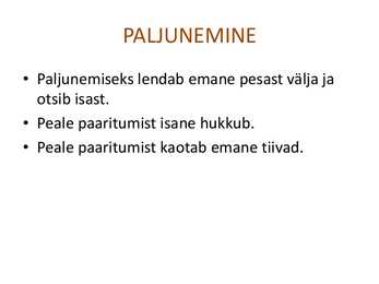 Sipelgad #6