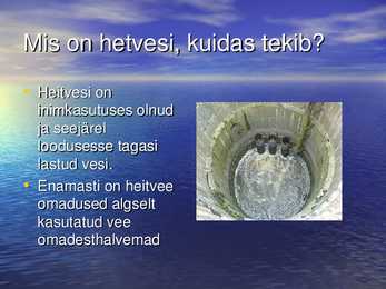 Ökoloogia ettekanne #12