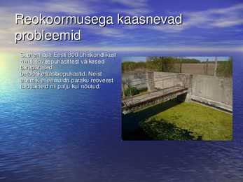 Ökoloogia ettekanne #14