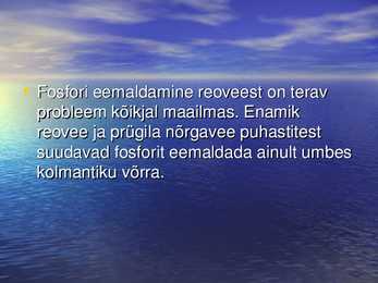 Ökoloogia ettekanne #16