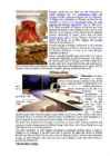 Styles in interior design #3