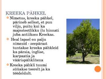 Pähklid #2