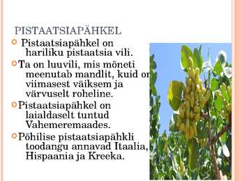 Pähklid #15