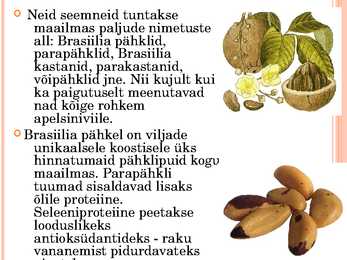 Pähklid #10