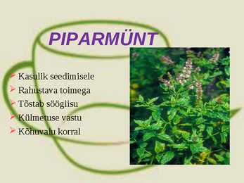 RAVIMTAIMED #2