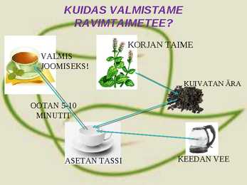 RAVIMTAIMED #16