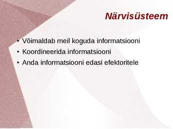 Inimene kui tervik organism #11